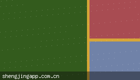 盛京棋牌网页版 vs app